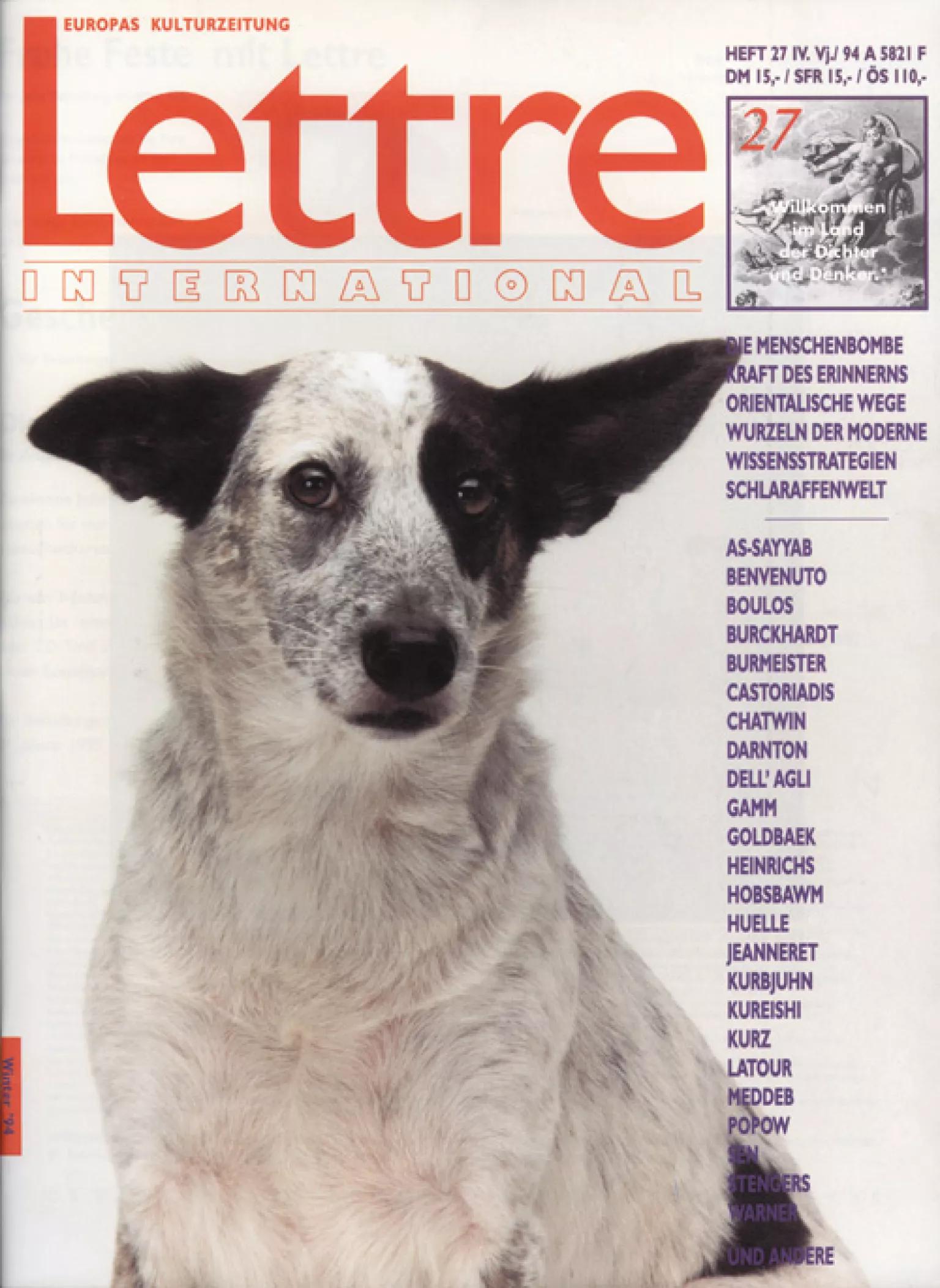 Cover Lettre International 27, Rosemarie Trockel Cover Lettre International 27, Rosemarie Trockel