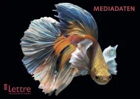 Cover Mediadaten