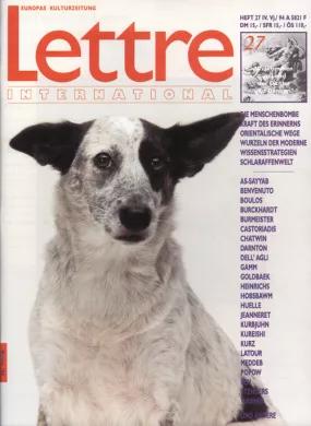 Cover Lettre International 27, Rosemarie Trockel