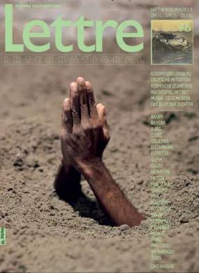 Cover Lettre International 46, Maurizio Cattelan